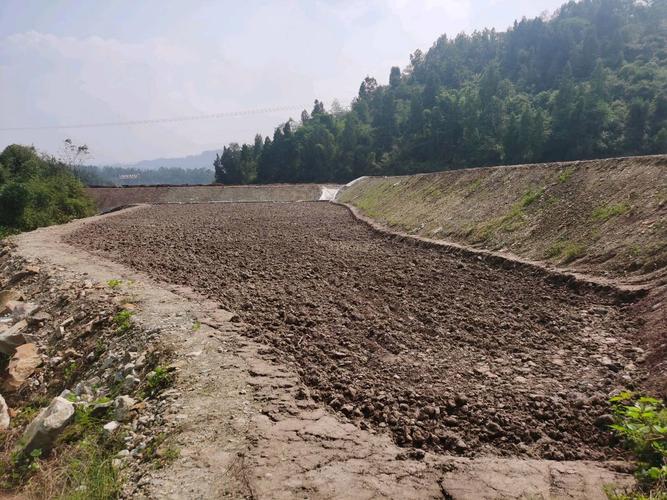 2025全年资料大全正版和一地严禁自来水浇地与一地严禁自来水浇地的通知