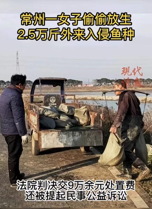 2025新澳门全年免费大全和放生2.5万斤外来鲇鱼与放生鲇鱼的功德