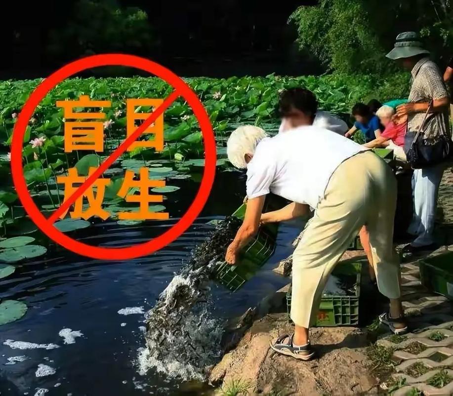 2025新澳门精准正版图库网站和放生2.5万斤外来鲇鱼与放生鲇鱼的功德