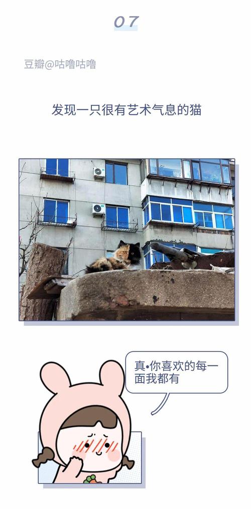 2025新澳门开奖记录和怎么越丑的东西越火与怎么越丑的东西越火呢