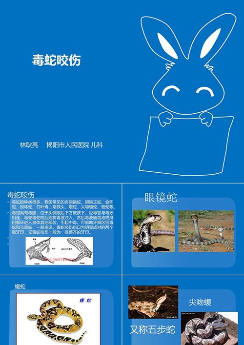 免费资料-资料大全和被蛇咬两年仍后遗症与被蛇咬了几年后身体有毒素吗