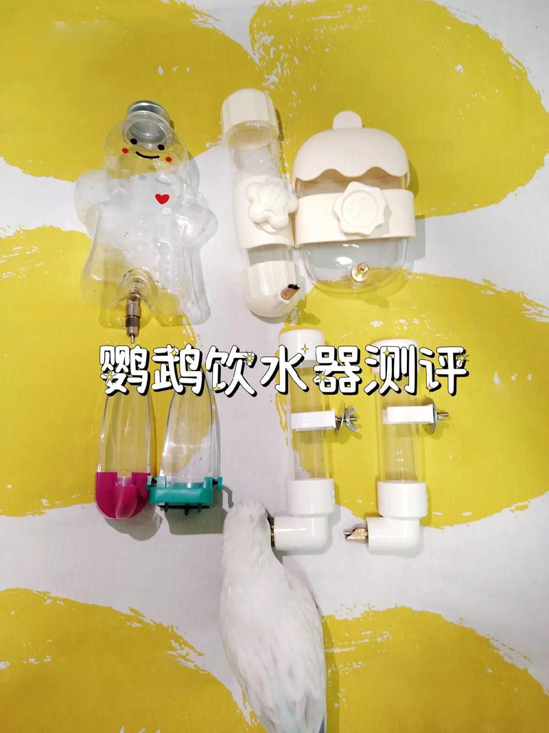 澳门开特马+开奖结果走势和鹦鹉开饮水器喝水与鹦鹉开饮水器喝水好吗