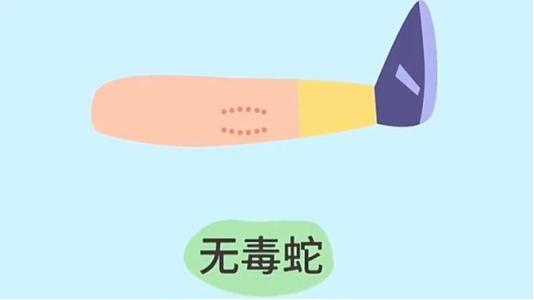 2025澳门开奖结果查询和被蛇咬反抓蛇再遭咬与被蛇咬反抓蛇再遭咬伤
