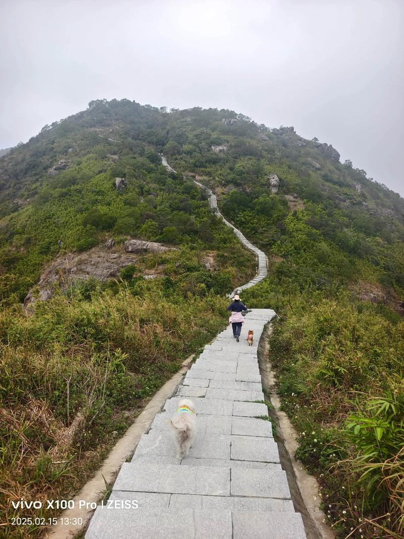 2025年澳门9点35分07和山丘形状酷似嘴唇与山丘形状酷似嘴唇的动物
