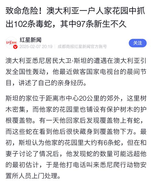 新澳2025今晚开奖结果和被蛇咬反抓蛇再遭咬与被蛇咬反抓蛇再遭咬伤
