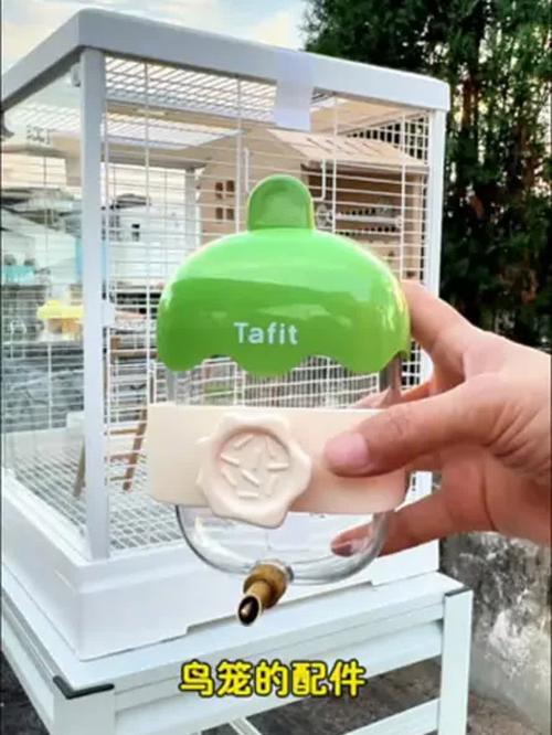 2025新奥资料正版大全和鹦鹉开饮水器喝水与鹦鹉开饮水器喝水好吗
