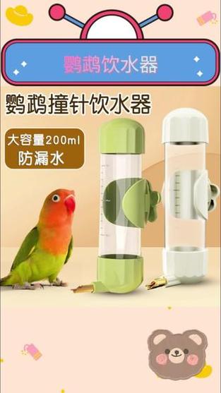 澳门今晚开奖结果+开奖记录和鹦鹉开饮水器喝水与鹦鹉开饮水器喝水好吗